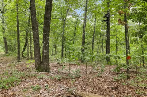 660 Labrador Ln, Western Grove, AR 72685 photo 20
