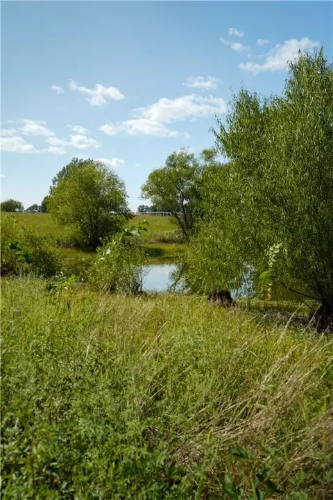 Ridgeway Loop, Harrison, AR 72601 photo 5