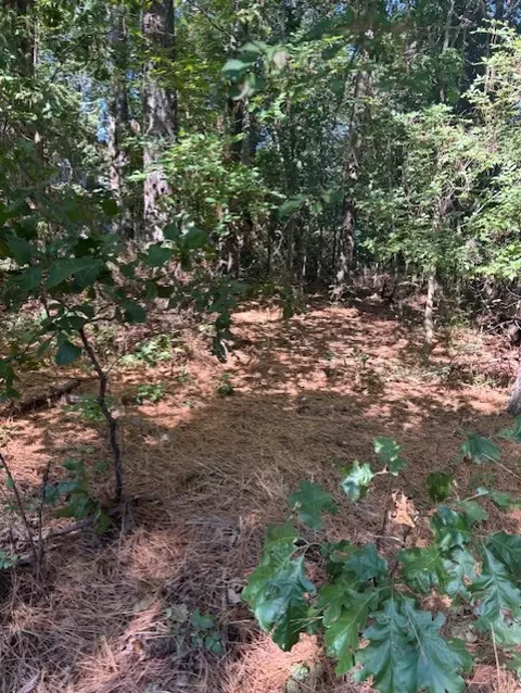 Skye Drive, Bella Vista, AR 72715