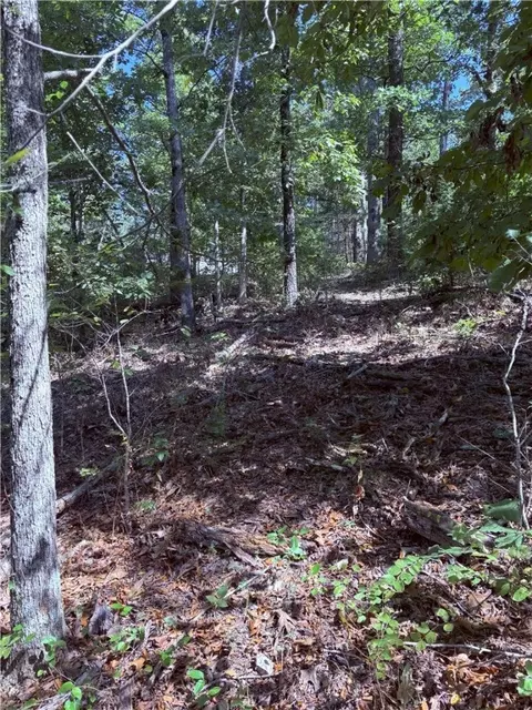 lot41 Hawnby Ln, Bella Vista, AR 72715