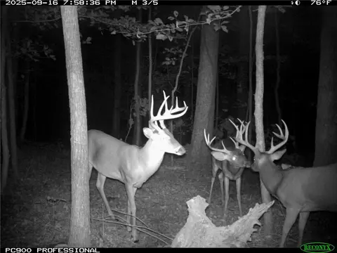 tbd Hwy 16, Saint Paul, AR 72760