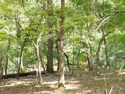 lot12 Barzel Point Rd, Springdale, AR 72756 photo 16