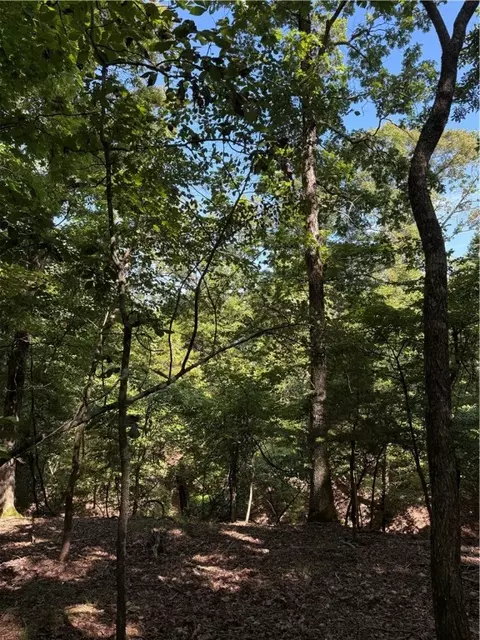 lot12 Barzel Point Rd, Springdale, AR 72756 photo 7