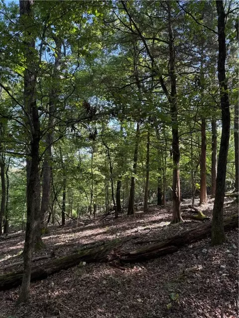 lot12 Barzel Point Rd, Springdale, AR 72756 photo 9