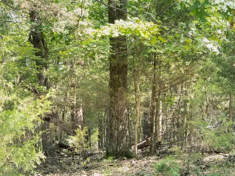 lot12 Barzel Point Rd, Springdale, AR 72756 photo 12