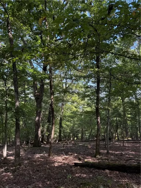 lot12 Barzel Point Rd, Springdale, AR 72756 photo 8
