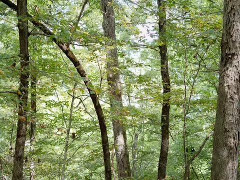 lot12 Barzel Point Rd, Springdale, AR 72756 photo 18