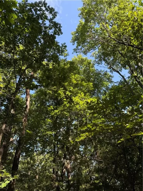 lot12 Barzel Point Rd, Springdale, AR 72756 photo 11