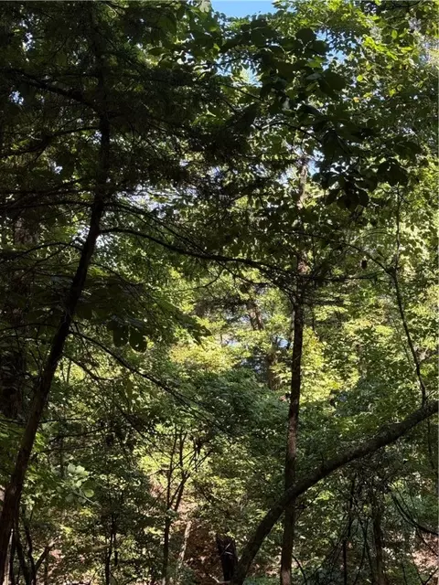 lot12 Barzel Point Rd, Springdale, AR 72756 photo 6