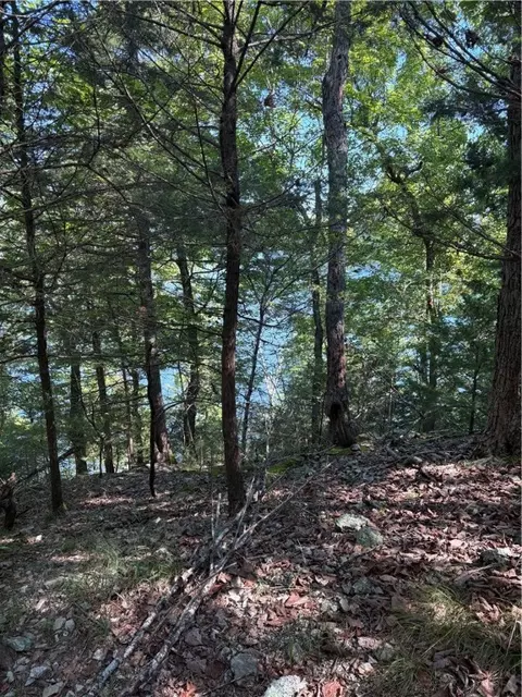 lot12 Barzel Point Rd, Springdale, AR 72756 photo 2