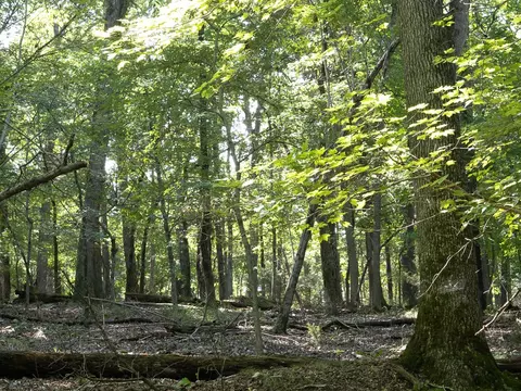lot12 Barzel Point Rd, Springdale, AR 72756 photo 14