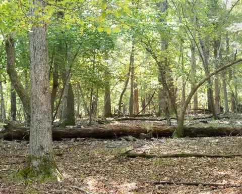lot12 Barzel Point Rd, Springdale, AR 72756 photo 13