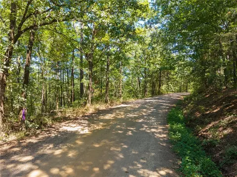 000 Granny Gap 1 Rd, Dover, AR 72837 photo 4