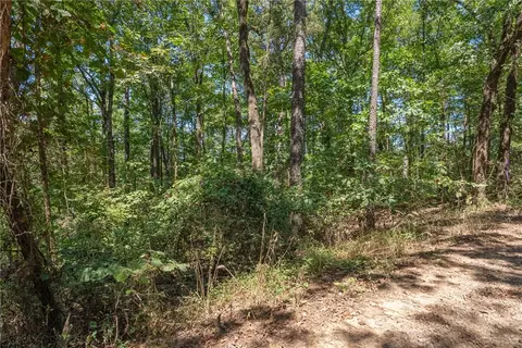 000 Granny Gap 1 Rd, Dover, AR 72837 photo 17