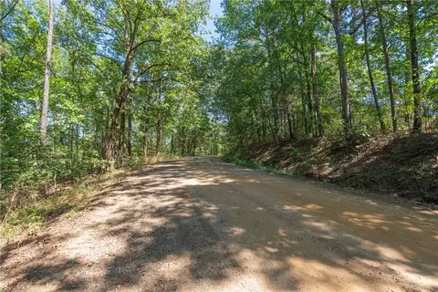 000 Granny Gap 1 Rd, Dover, AR 72837 photo 5
