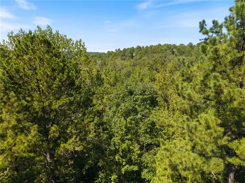 000 Granny Gap 1 Rd, Dover, AR 72837 photo 13