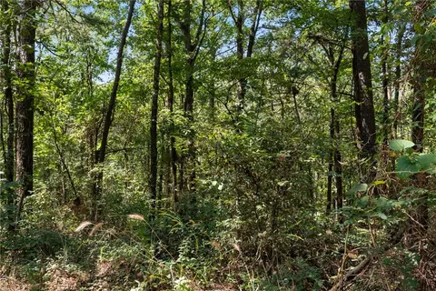 000 Granny Gap 1 Rd, Dover, AR 72837 photo 22