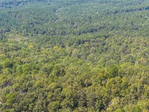 000 Granny Gap 1 Rd, Dover, AR 72837 photo 37