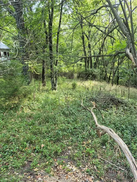 Fritz, Eureka Springs, AR 72632
