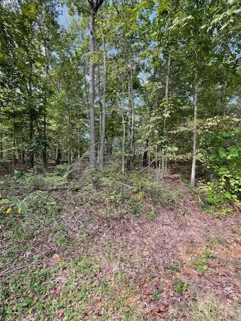 Ruthwell Drive, Bella Vista, AR 72715