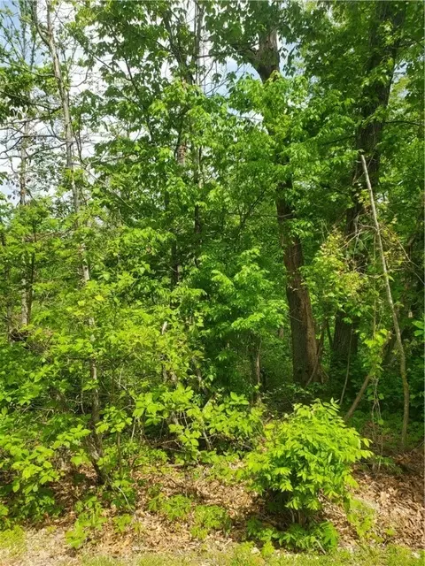 wembly dr lane LOT 35, Bella Vista, AR 72715