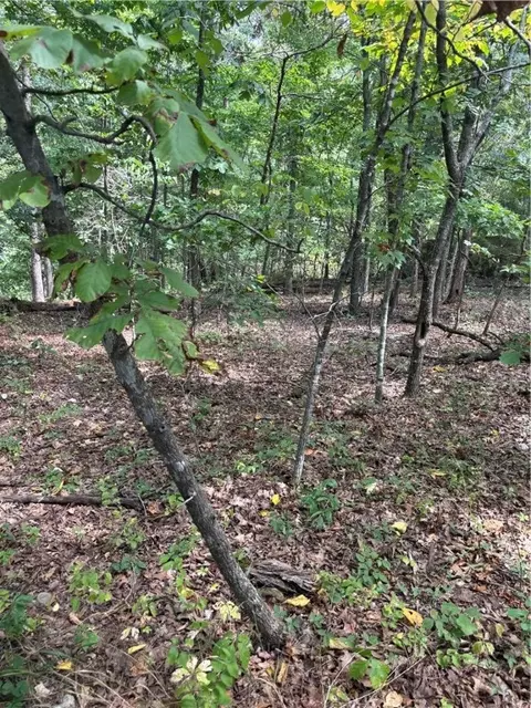 Newhaven Lane, Bella Vista, AR 72714