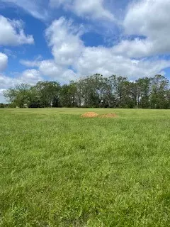 6 Checks Corner Rd, Sulphur Springs, AR 72768