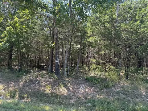 Mc 7027, Peel, AR 72668 photo 4