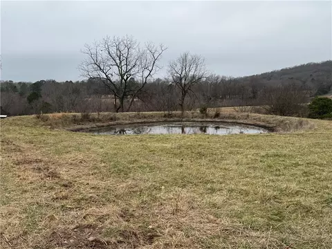 Tract C Nicewarner Road, Lincoln, AR 72744