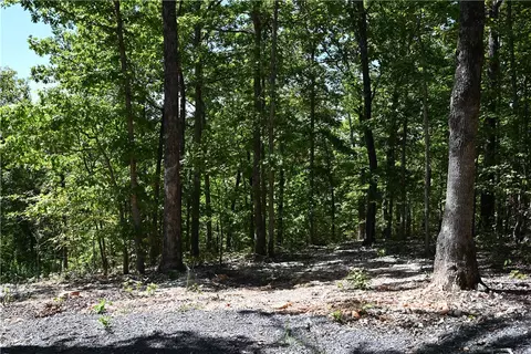 256 Fallen Tree Rd, Marshall, AR 72650 photo 9