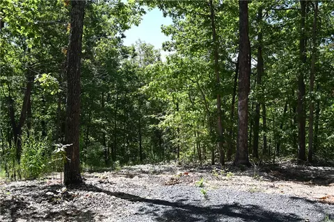 256 Fallen Tree Rd, Marshall, AR 72650 photo 8