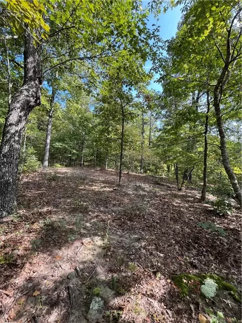 Nc 8659, Jasper, AR 72641 photo 8