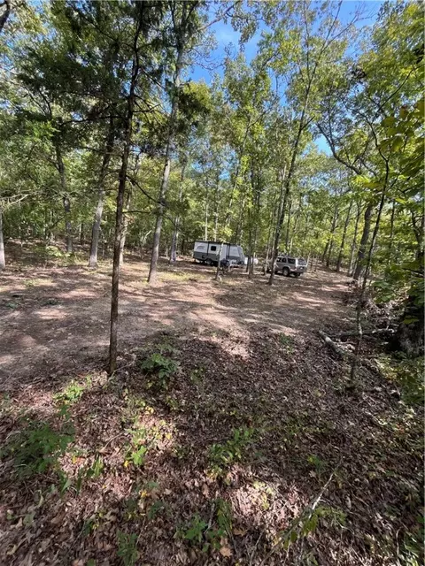 Nc 8659, Jasper, AR 72641 photo 6