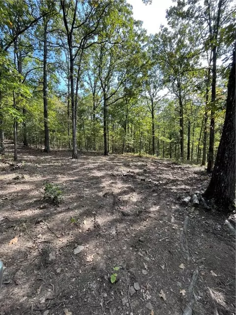 Nc 8659, Jasper, AR 72641 photo 7