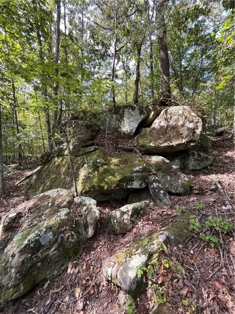 Nc 8659, Jasper, AR 72641 photo 10