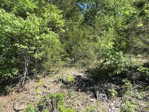 45 Pleasant Ridge Dr, Holiday Island, AR 72631