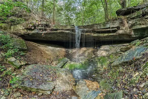 23 Pack Rd, Noel, MO 64854 photo 53