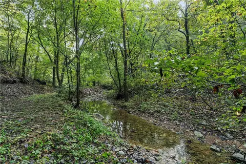 23 Pack Rd, Noel, MO 64854 photo 50