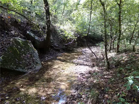 23 Pack Rd, Noel, MO 64854 photo 8