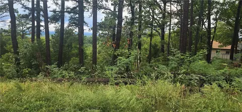 Rancho Vista Lane, Holiday Island, AR 72631