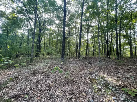 Dragon Tail, Bruno, AR 72633 photo 10