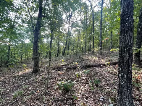 Dragon Tail, Bruno, AR 72633 photo 16