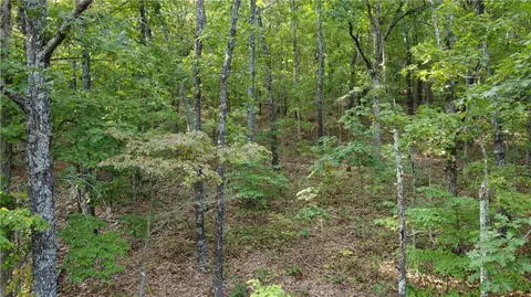 Dragon Tail, Bruno, AR 72633 photo 8
