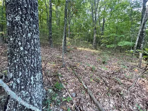 Dragon Tail, Bruno, AR 72633 photo 13