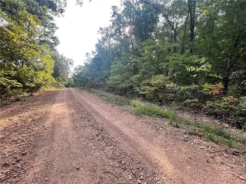 Dragon Tail, Bruno, AR 72633 photo 5
