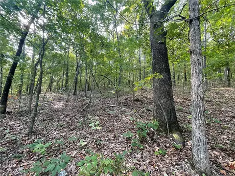 Dragon Tail, Bruno, AR 72633 photo 15
