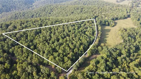 Dragon Tail, Bruno, AR 72633