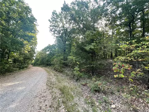 Dragon Tail, Bruno, AR 72633 photo 6