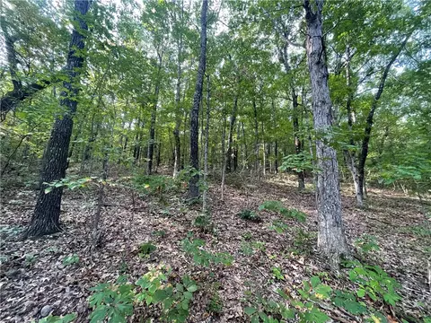 Dragon Tail, Bruno, AR 72633 photo 14