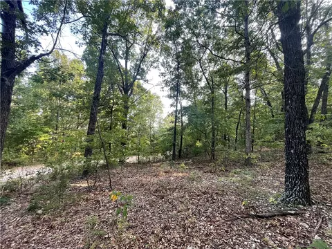 Dragon Tail, Bruno, AR 72633 photo 7